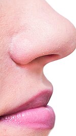 Nase und Mund einer Frau